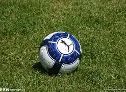 电子,产品,PG电子,PG电子官网,PG电子平台,PG电子游戏,PG体育电竞,PG棋牌彩票