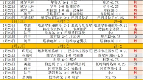 巅峰对决！澳超豪门激战正酣，结构性挑战不容忽视，9胜6负悬念重重！