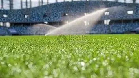 图赫尔：新球员加盟前四课训练备战乌拉圭赛事