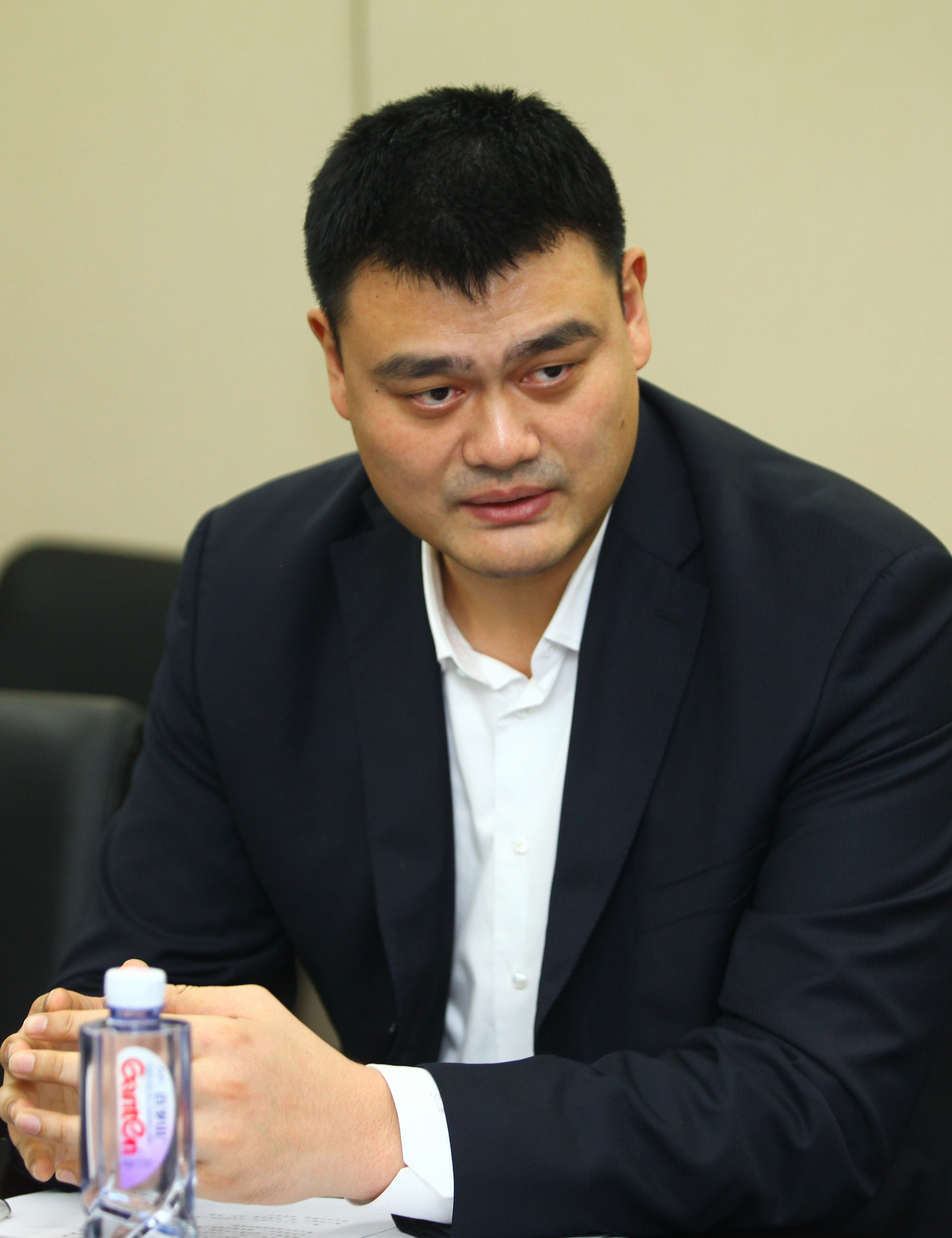 的分析投射